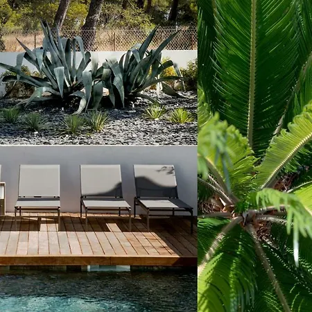 Villa Casa Lulli Cassis